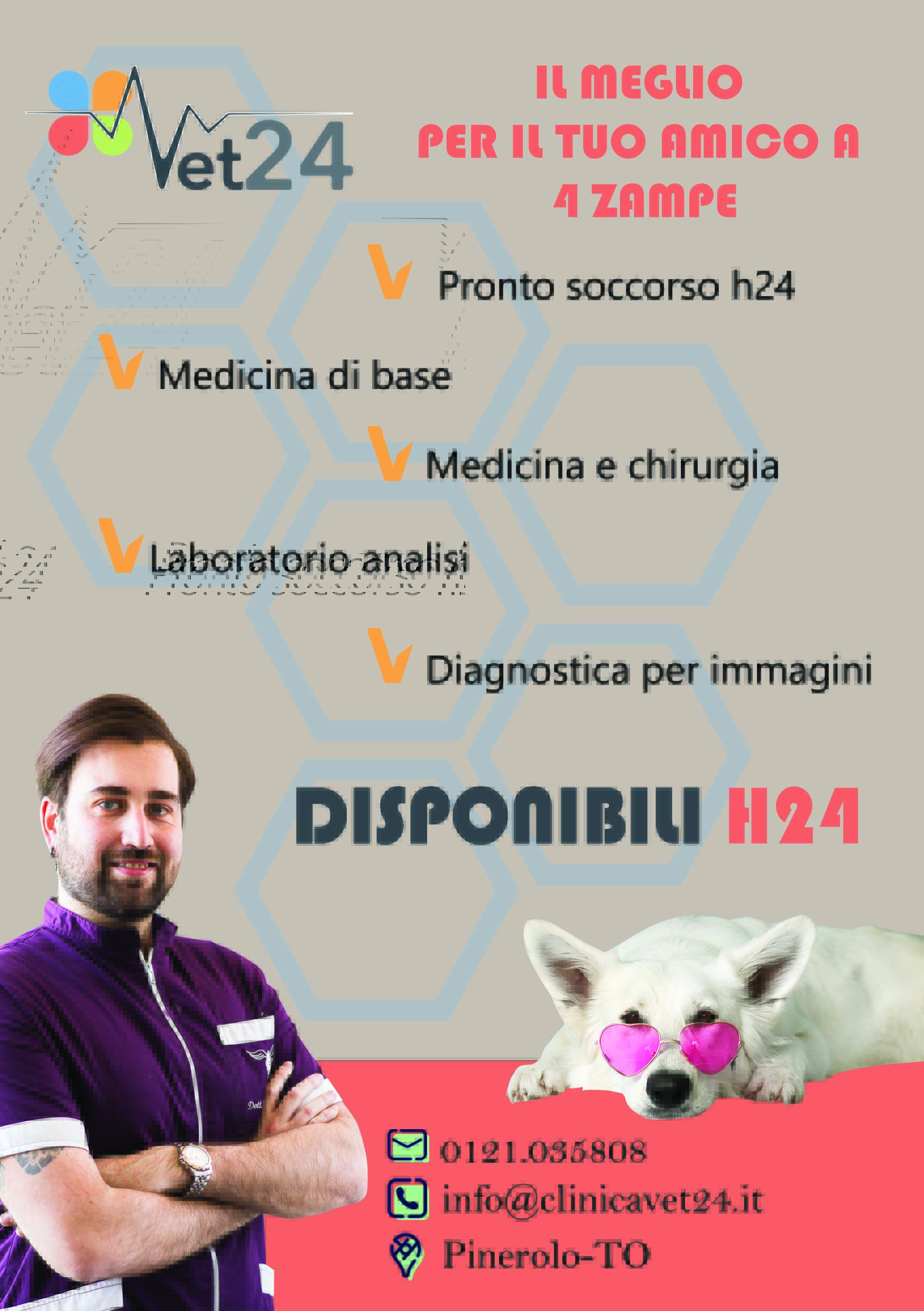 pubblicità vet24